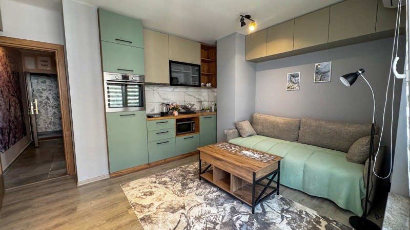 В аренду  Студия Пловдив , Западен , 40 кв.м | 96031886