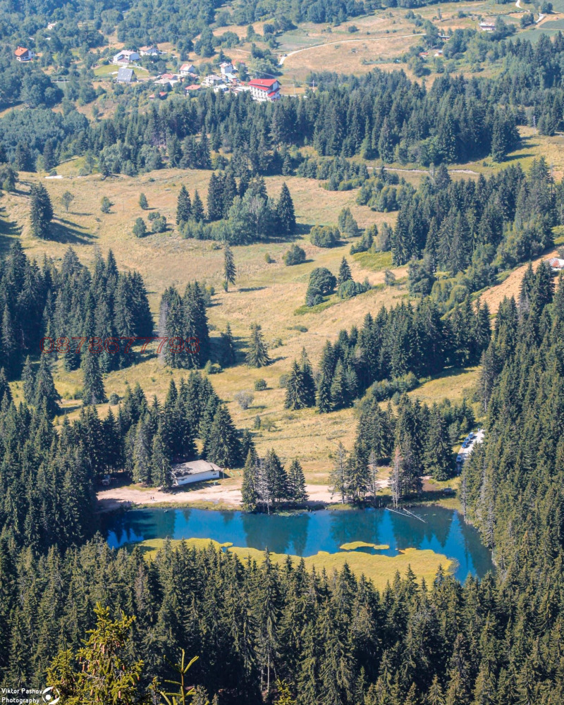 Дава под наем 1-СТАЕН, гр. Смолян, Езерово, снимка 9 - Апартаменти - 52781242