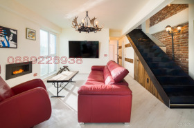 ����� ���� ��� ���� �������,���� �����, ���������