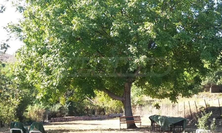 ���� ��� ���� ���� | Imot.bg � ����������� 8