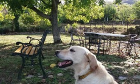 ���� ��� ���� ���� | Imot.bg � ����� ������ 5