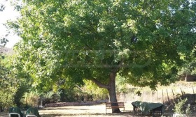 ���� ��� ���� ���� | Imot.bg � ����� ������ 8