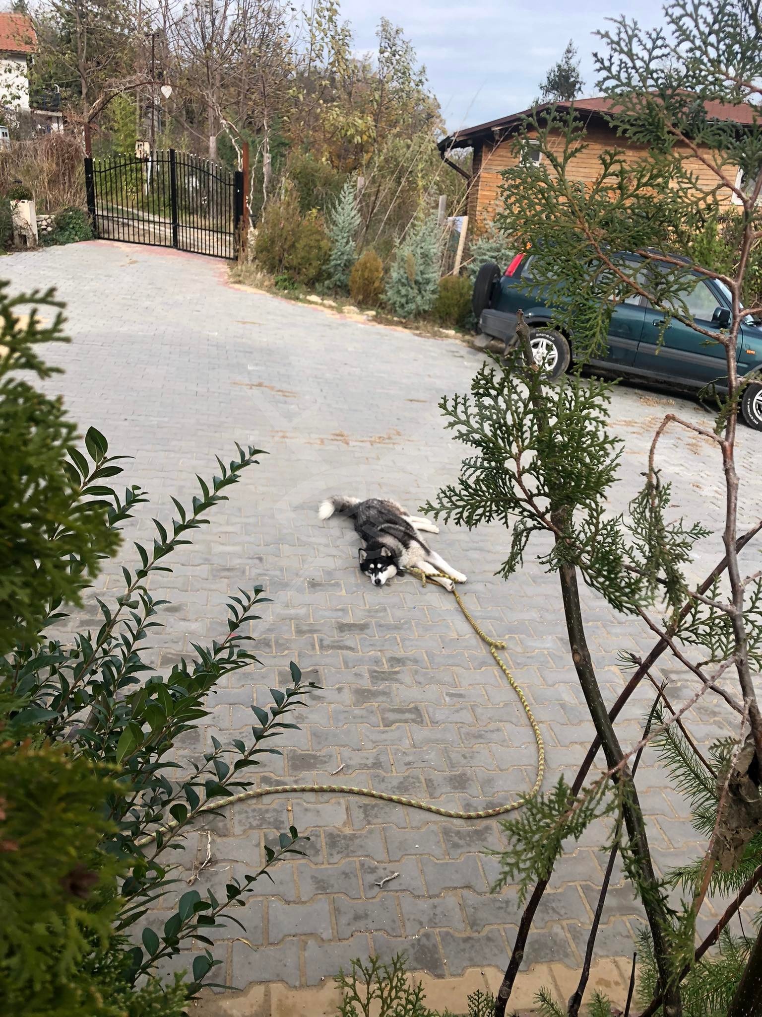 ���� ��� ���� ���� | Imot.bg � ����������� 9