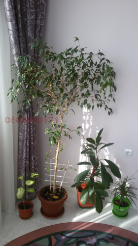 ���� ��� ���� 2-����� | Imot.bg � ����� ������ 4