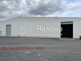 ������ ���� ��� ���� �����