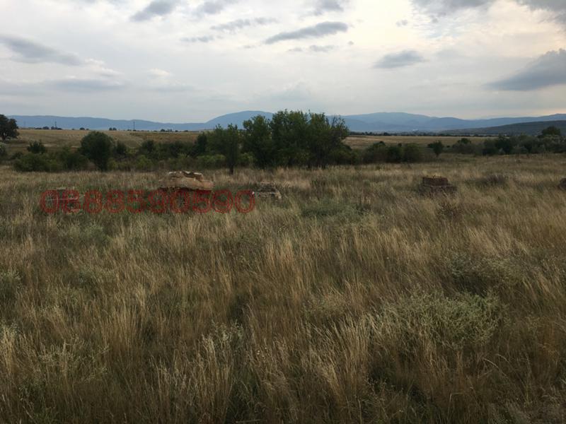 Дава под наем МЯСТО, гр. Радомир, област Перник, снимка 2 - Парцели - 56046387