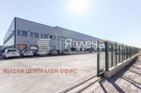 ������ ���� ��� ���� �����