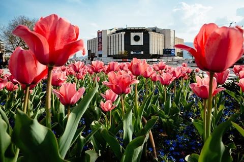 ���� ��� ���� ������� | Imot.bg � ����������� 5