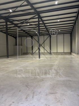 ����� ���� ��� ���� �����,���� �������, ����������