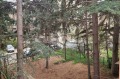 Под наем МНОГОСТАЕН, град София, Лозенец • 1200 € • 50945973 — Holmes.bg