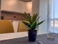 Под наем 3-СТАЕН, град Бургас, Възраждане • 1600 лв. / 818.07 € • 44728817 3