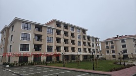 ����� ���� ��� ���� �����,���� �������, ���������