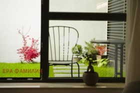 ������ ���� ��� ���� 2-�����