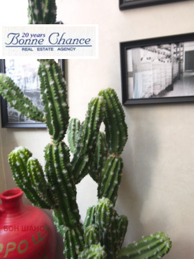 ������ ���� ��� ���� ���������