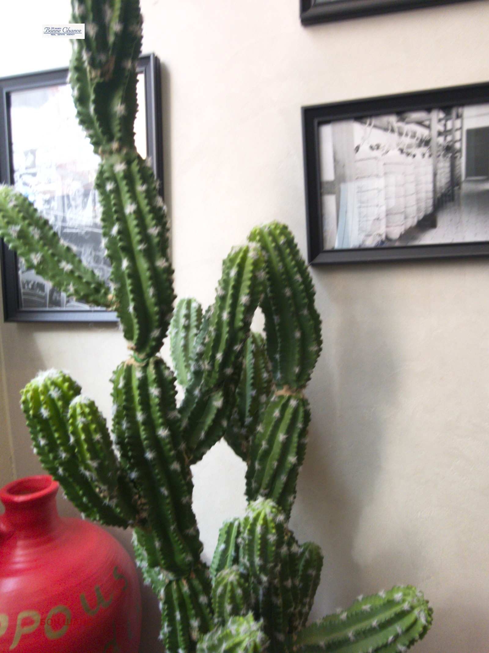 Дава под наем ЗАВЕДЕНИЕ, гр. София, Център