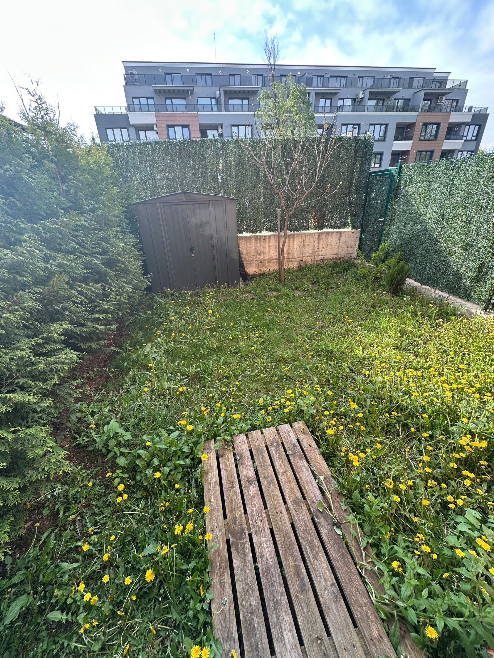 Дава под наем 2-СТАЕН, гр. София, Витоша, снимка 11 - Апартаменти - 54357388