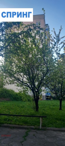 ����� ���� ��� ���� 2-�����,���� �����, ������