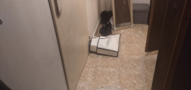 ���� ��� ���� 1-����� | Imot.bg � ����� ������ 8