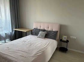 1 bedroom Druzhba 2, Sofia 5