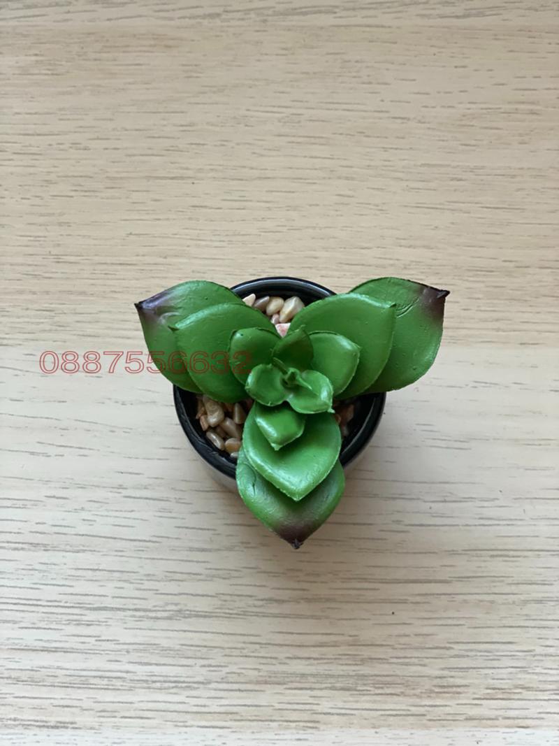 ���� ��� ���� 2-����� | Imot.bg � ����������� 13