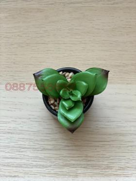    2- | Imot.bg    14