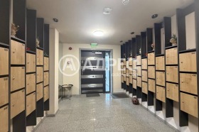 ���� ��� ���� 3-����� | Imot.bg � ����� ������ 2