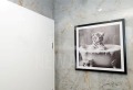 Дава под наем 1-СТАЕН, гр. Варна, к.к. Св.Св. Константин и Елена, снимка 11