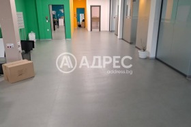 ������ ���� ��� ���� ����. ���������