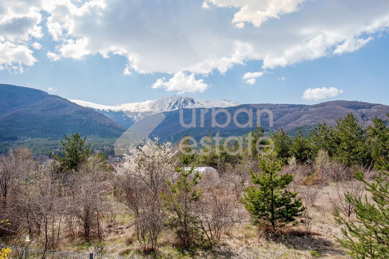 ���� ��� ���� ���� | Imot.bg � ����������� 17