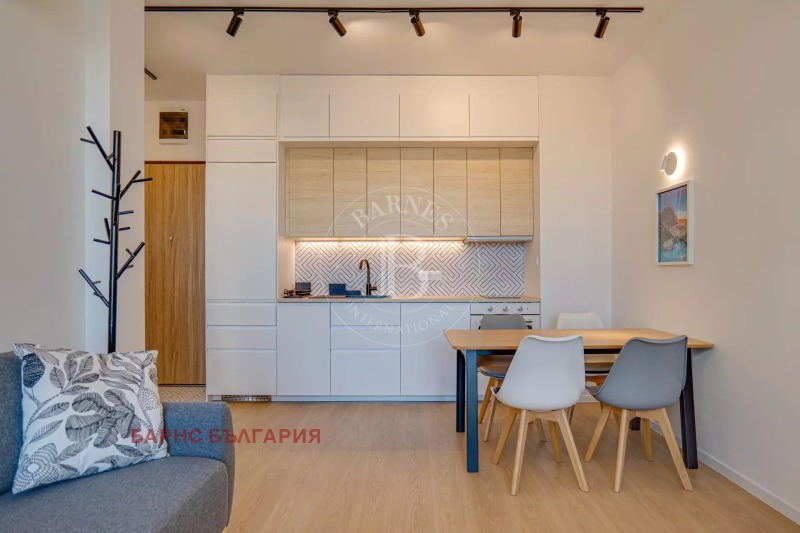 Дава под наем 2-СТАЕН, гр. София, Лозенец, снимка 14 - Апартаменти - 53160097