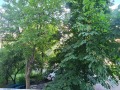 Под наем 2-СТАЕН, град София, Разсадника • 485 € / 948.58 лв. • 93043352 15