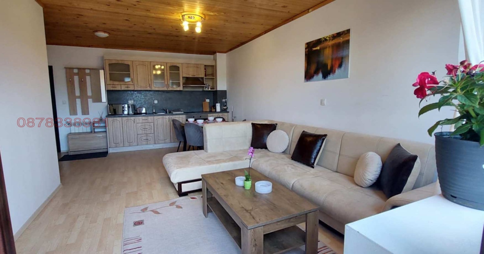 ���� ��� ���� 2-����� | Imot.bg � ����������� 1