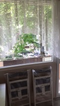 Под наем 2-СТАЕН, град София, Борово • 590 € / 1153.94 лв. • 64597741 8