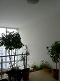 Под наем 2-СТАЕН, град София, Младост 2 • 520 € • 63036260 — Holmes.bg