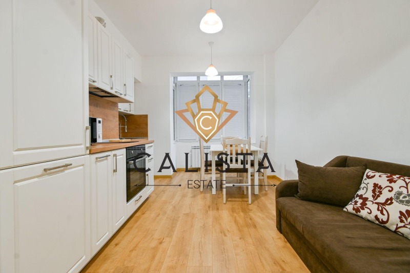 Дава под наем 2-СТАЕН, гр. София, Център, снимка 3 - Апартаменти - 52659277