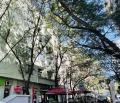 Под наем 2-СТАЕН, град София, Докторски паметник • 850 € • 29040885 — Holmes.bg