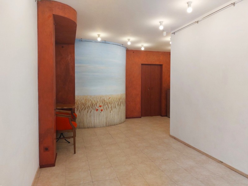 Издаје се  Схоп Софија , Центар , 32 м2 | 78969778 - слика [5]
