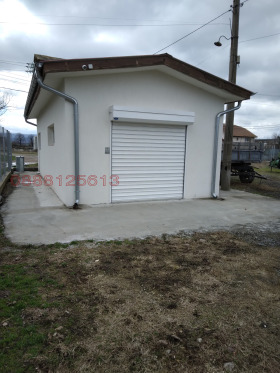 ����� ���� ��� ���� �����,�. �������, ������ �����