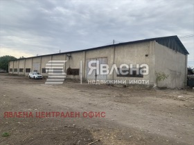 ������ ���� ��� ���� �����