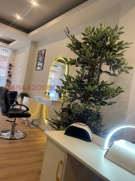 ������ ���� ��� ���� ������ ����