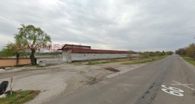 ������ ���� ��� ���� ������ ����