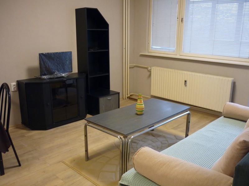 Дава под наем 2-СТАЕН, гр. София, Стрелбище, снимка 2 - Апартаменти - 52810002