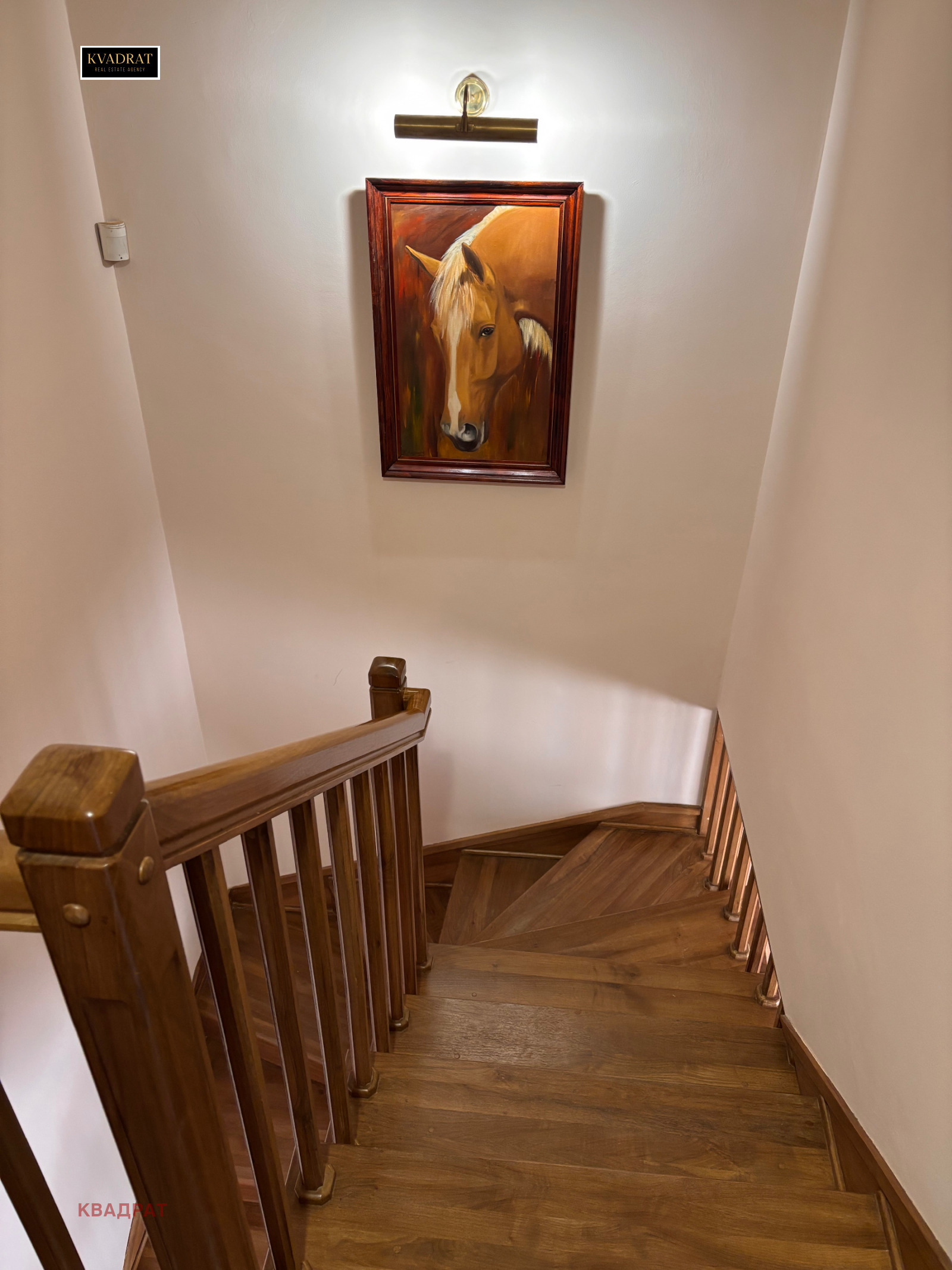 ���� ��� ���� 4-����� | Imot.bg � ����������� 9