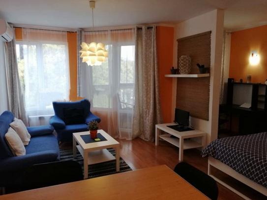 Vuokrattavana  Studio Sofia , Zona B-19 , 55 neliömetriä | 80187205