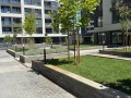 Дава под наем  2-стаен град София , Банишора , 70 кв.м | 63293541 - изображение [13]