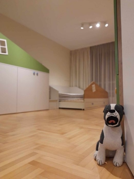 For Rent  2 bedroom Sofia , Geo Milev , 110 sq.m | 88332717 - image [8]