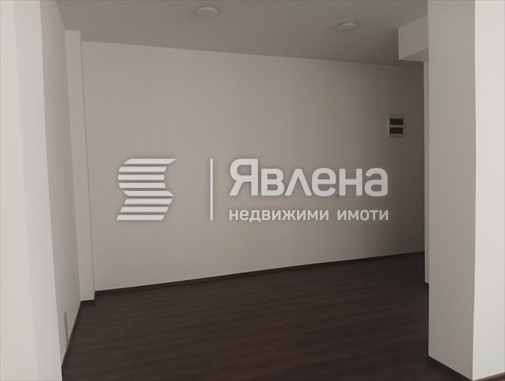 Дава под наем БИЗНЕС ИМОТ, гр. София, Свобода, снимка 3 - Други - 55619167