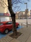 Дава под наем  Гараж, Паркомясто град София , Център , 20 кв.м | 28357582 - изображение [9]