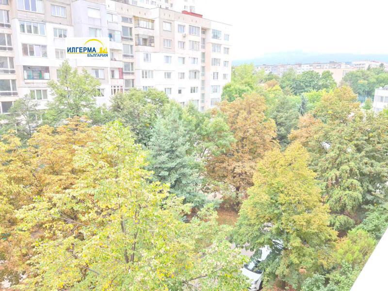 Издаје се  Студио Софија , Мусагеница , 42 м2 | 30328560 - слика [8]