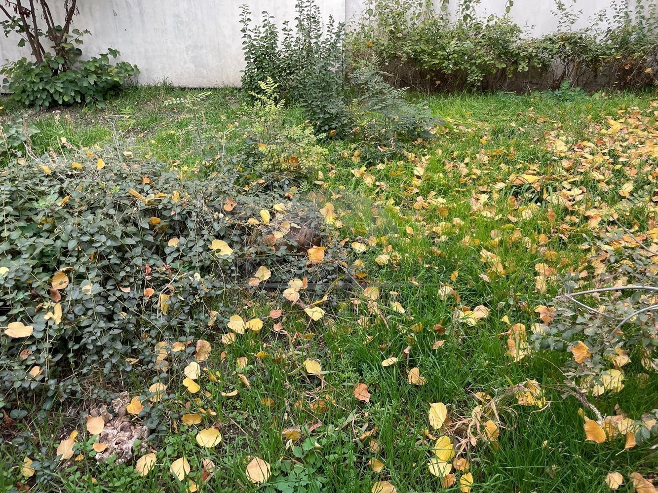 Дава под наем КЪЩА, гр. София, Център, снимка 17 - Къщи - 55781509